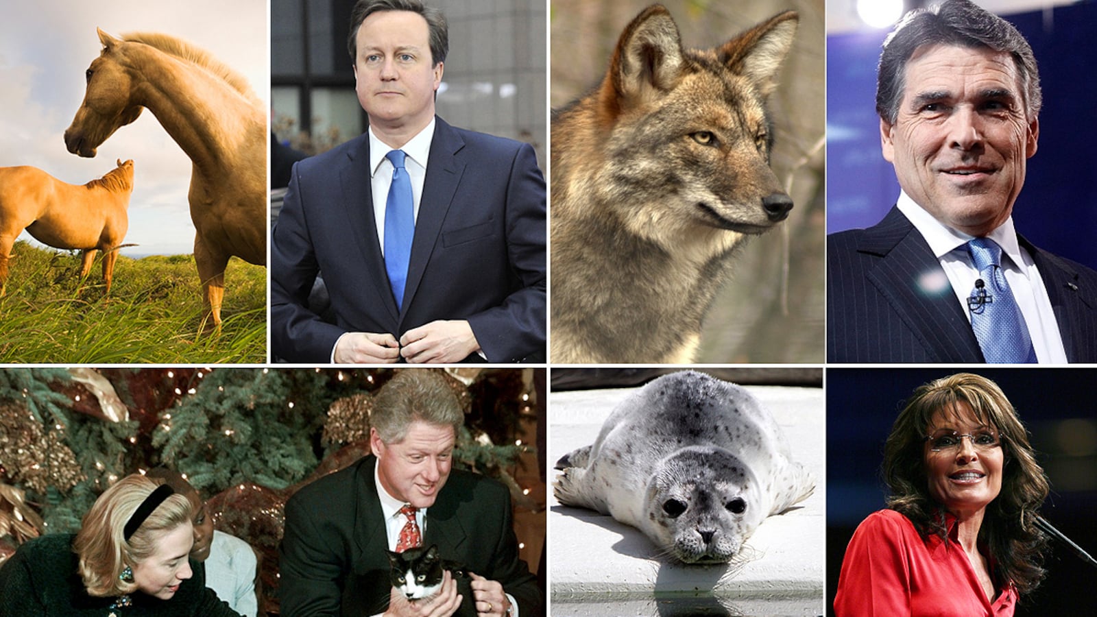 galleries/2012/03/03/david-cameron-rides-rebekah-brooks-horse-and-other-political-animal-scandals-photos/political-animal-scandals-tease-more_kaeap0
