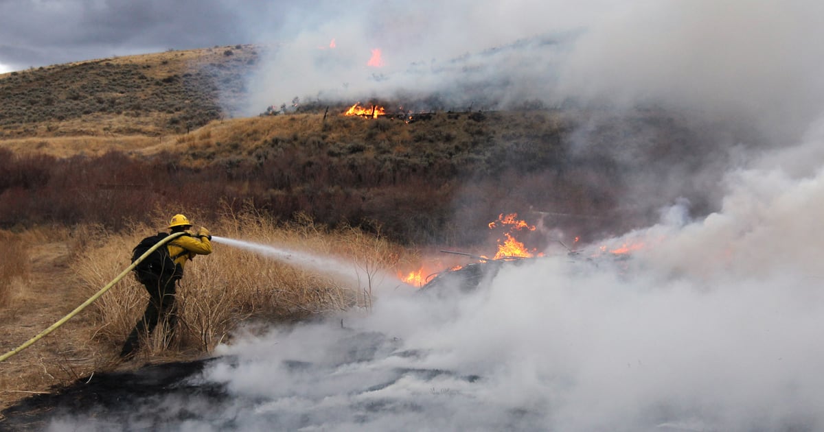 Bug Fire Reno Reno Wildfire Contained