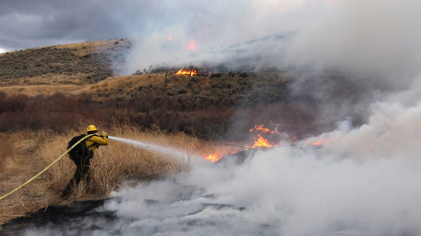 cheats/2012/01/22/reno-wildfire-contained/reno-wildfire-contained-cs_noggyv