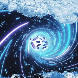 An illustration including photos of Time Travel, Ice, and Bacteria