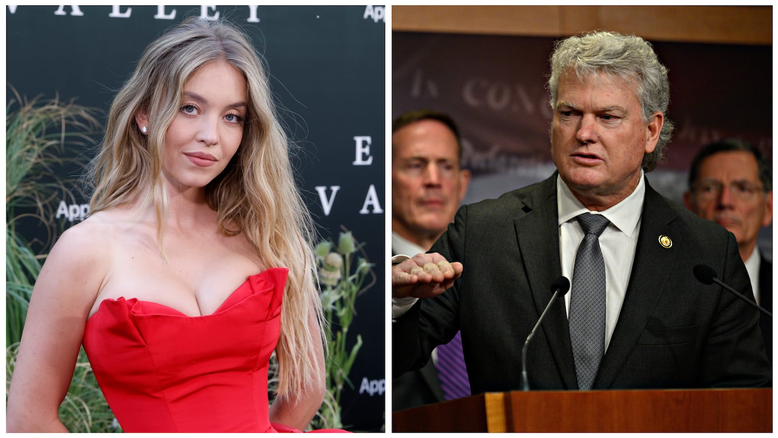 Sydney Sweeney, Mike Collins