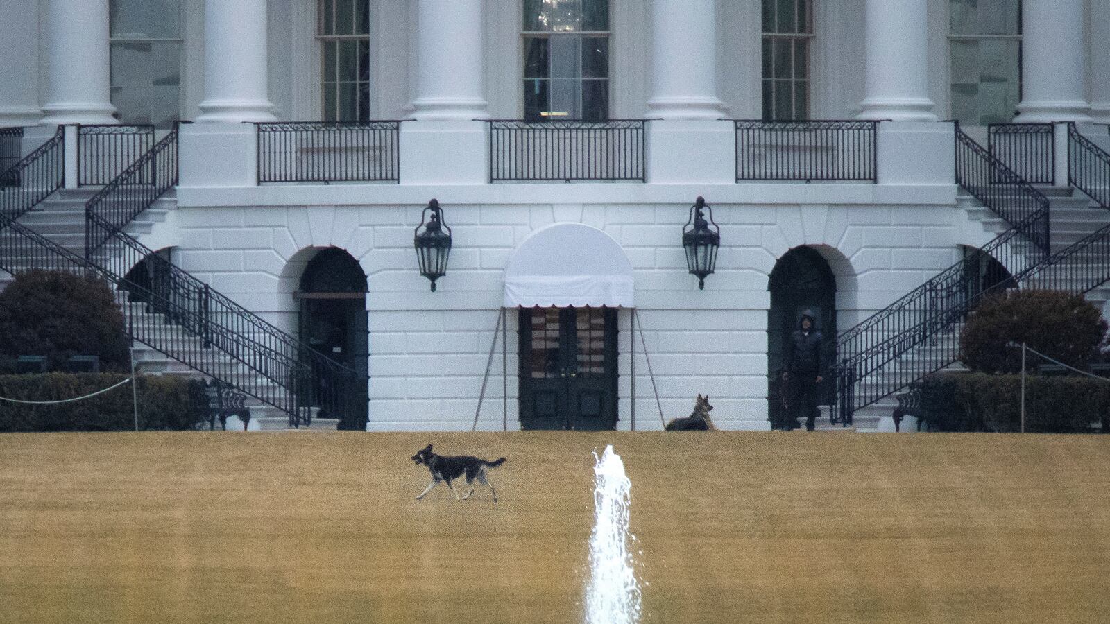 2021-02-16T234835Z_588102626_RC2ZTL9WX795_RTRMADP_3_USA-BIDEN_jll6zf