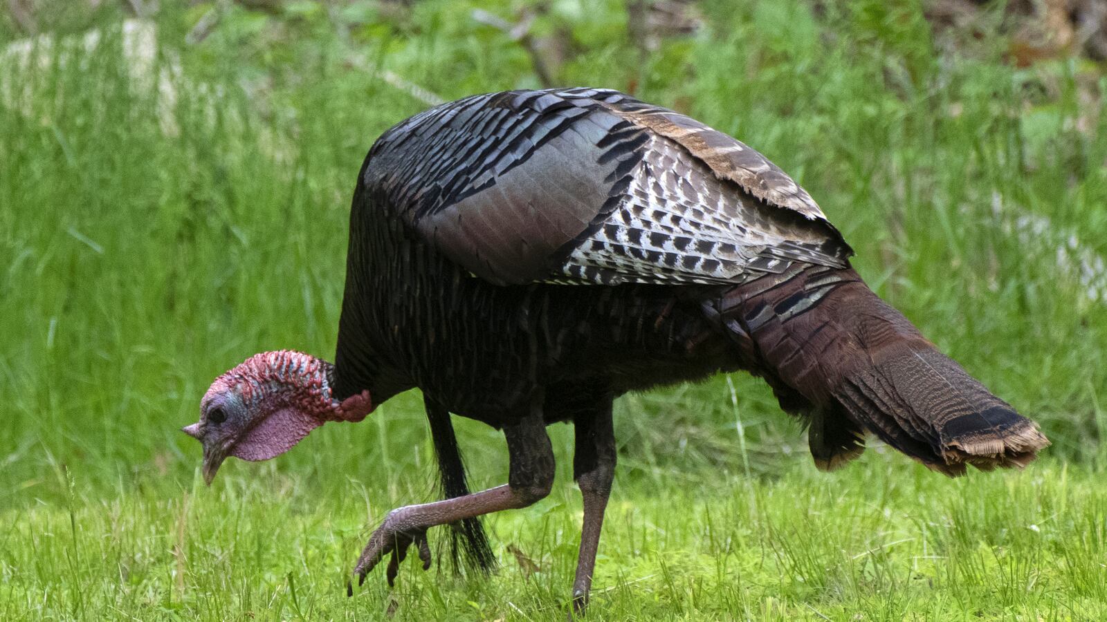 GettyImages-1263632750_n6lvgp