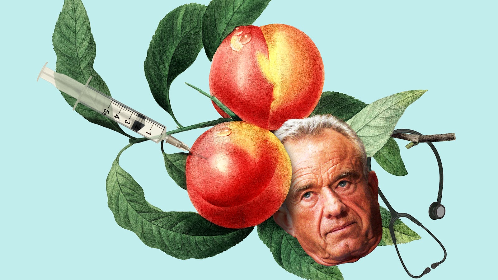 Robert F Kennedy, Jr on a branch of peaches with a syringe and a stethoscope
