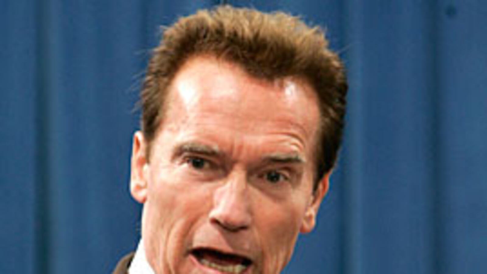 cheats/2008/12/12/california-melting-down/gov-arnold-schwarzenegger_xl0pli