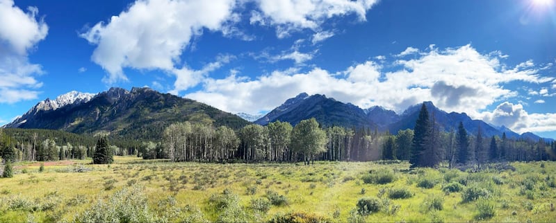 210912-Ross-overcrowded-Banff-embed3_wgdxsc