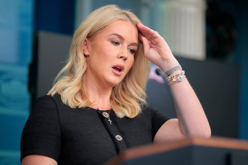 White House Press Secretary Karoline Leavitt speaks during a press briefing in the Brady Press Briefing Room at the White House on August 28, 2025.
