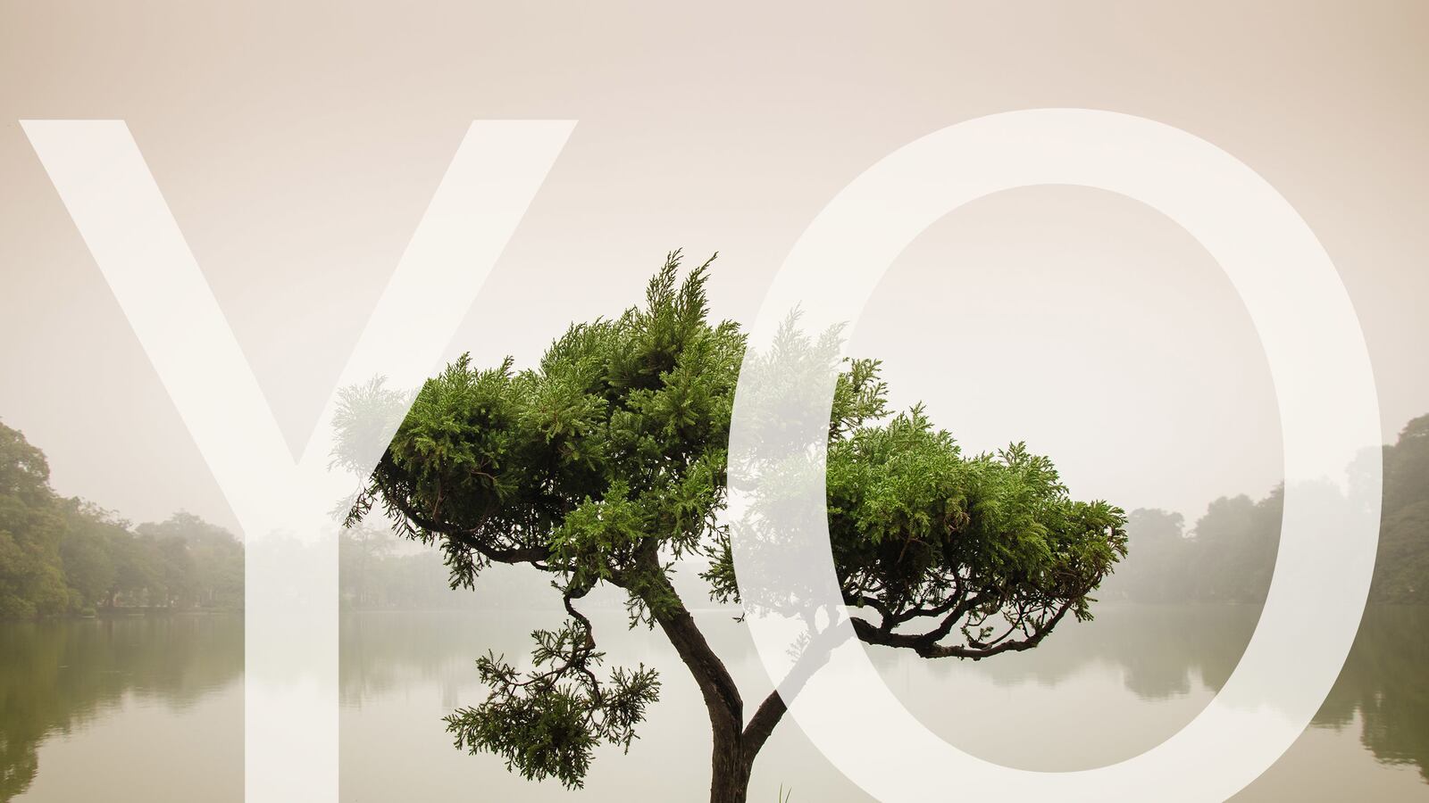 articles/2014/08/02/the-zen-of-yo/140801-eisinger-zen-of-yo-tease_ko55us