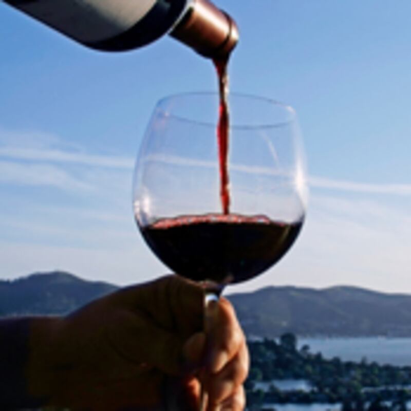 articles/2009/08/20/perfect-pairing-wine-and-a-book/tdb-perfect-pairing-wine-pour_44319_twck3q