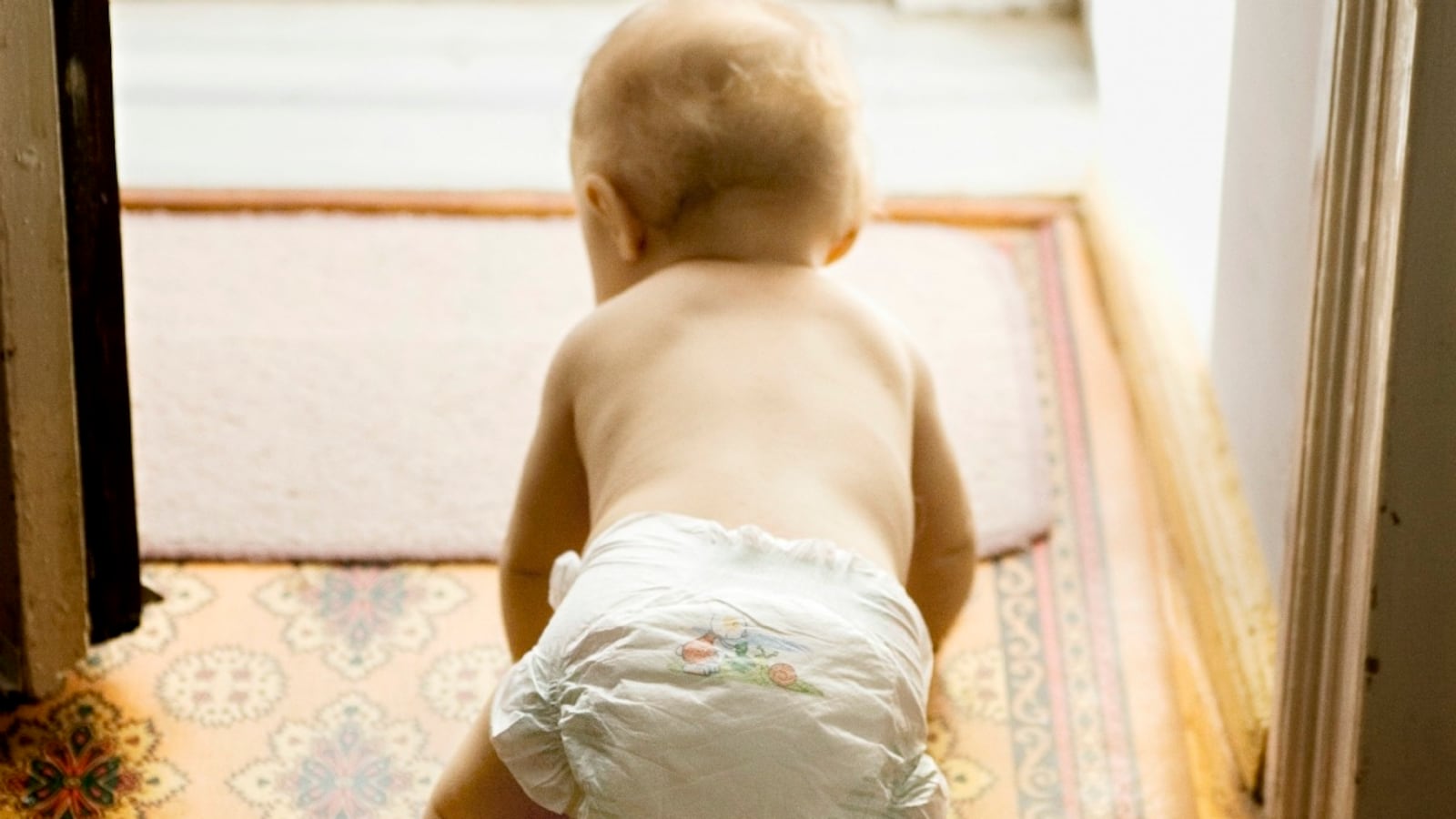 cheats/2012/09/30/global-diaper-supply-threatened/diaper-shortage-cheat_upby5u
