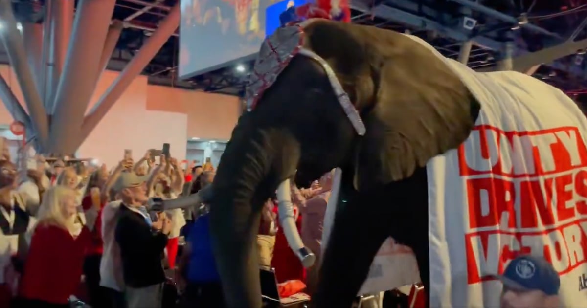 Photo: The Daily Beast Convention Priorities Amidst the Distraction
