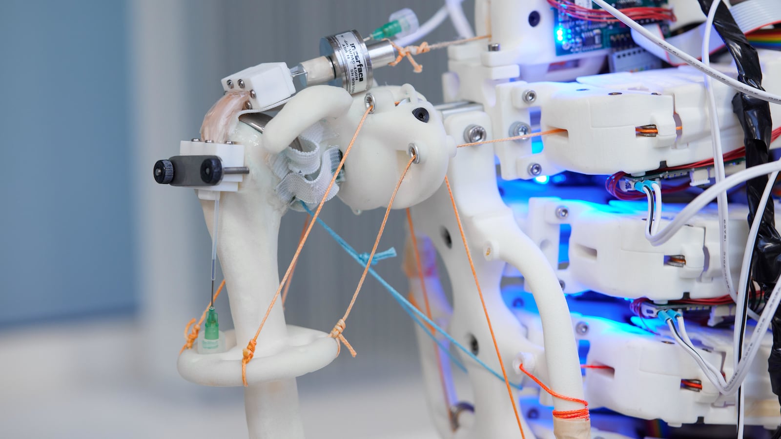 Image_6.image-jpeg_kzowyl