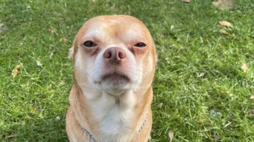 Screen_Shot_2021-04-27_at_11.21.24_AM_lva98h