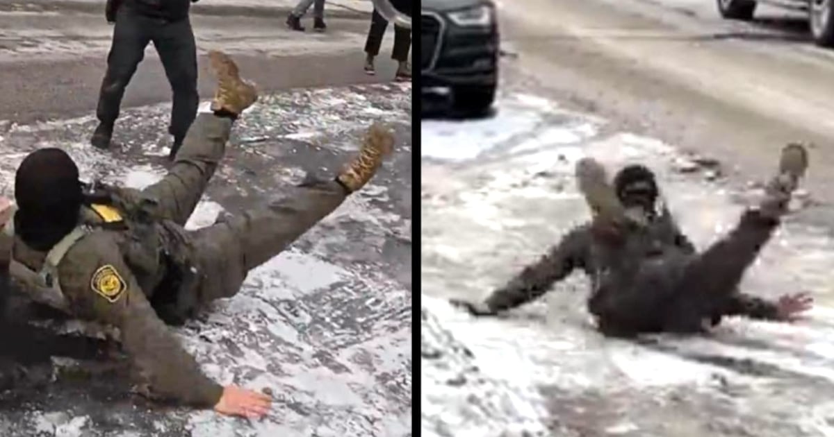 DHS Department of Homeland Security ICE Karen Whines ICE Goons Could Be ...