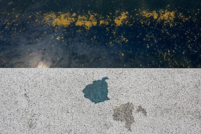 A piece of blue paint lies outside of the Lincoln Memorial Reflecting Pool, as debris floats in the pool, after recent renovations following a directive from U.S. President Donald Trump to paint it blue ahead of the 250th anniversary of U.S. independence, in Washington, D.C., U.S., June 22, 2026.