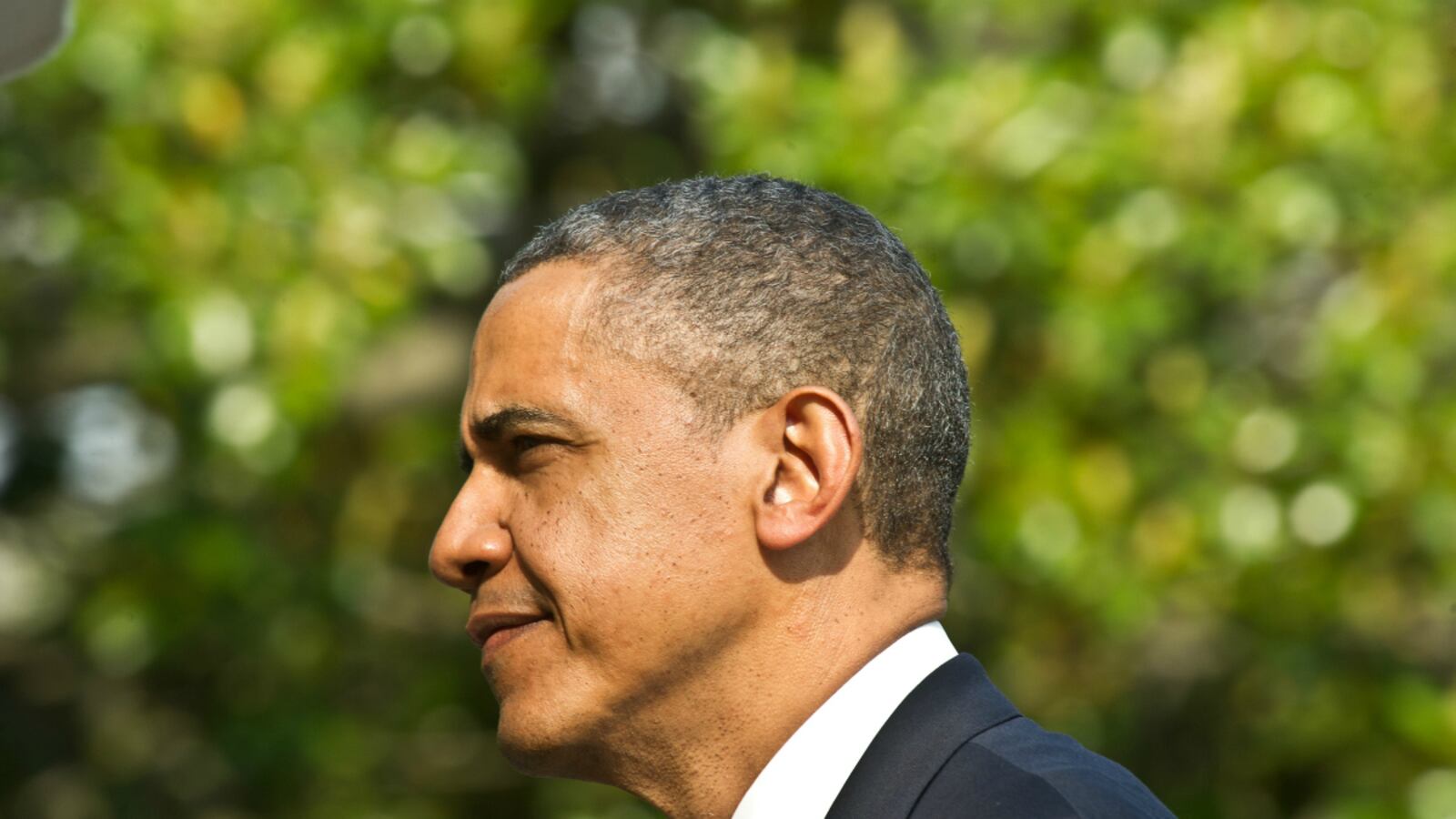 cheats/2013/05/19/obama-lawyers-knew-about-irs/obama-irs-wh-cheat_zgvmak