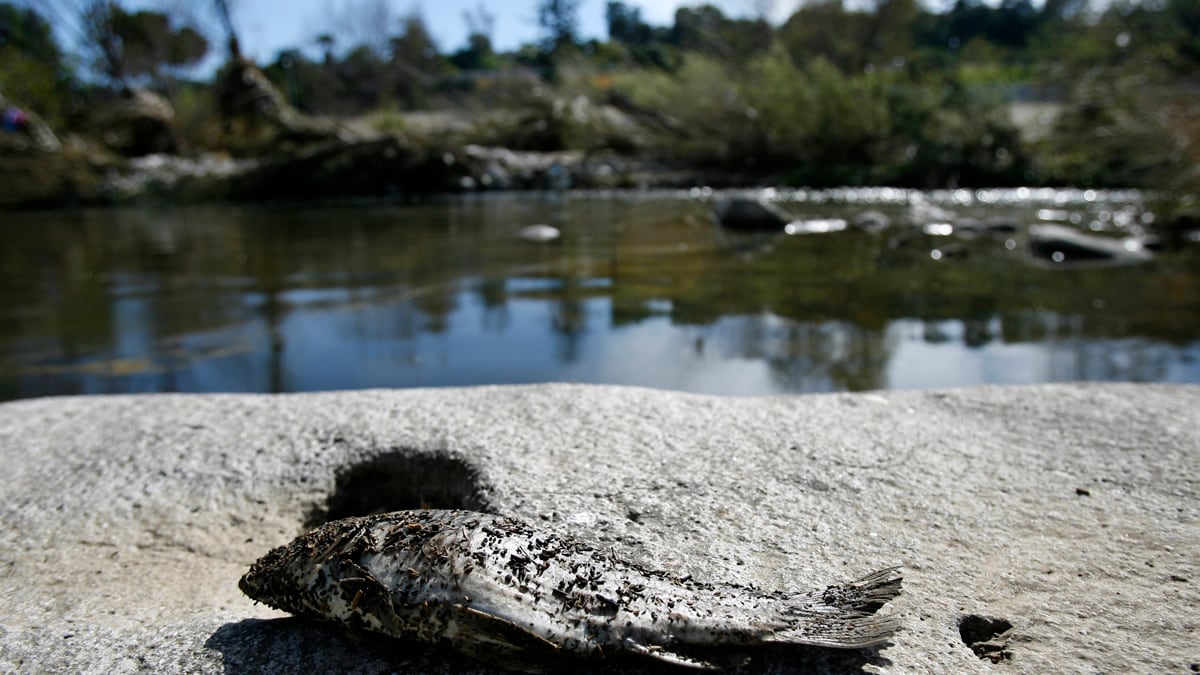 cheats/2016/09/14/climate-change-significant-and-direct-threat-to-u-s-military/160914-global-warming_jugsax