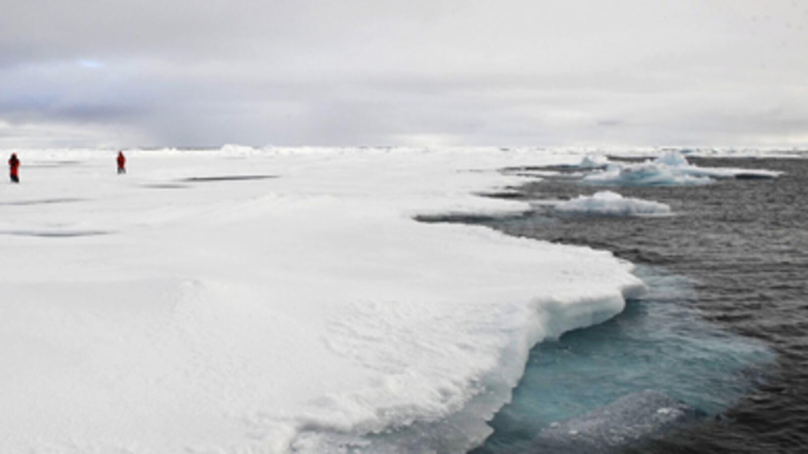 cheats/2011/05/12/wikileaks-nations-race-to-divide-arctic/arctic-melt_nh8rk5