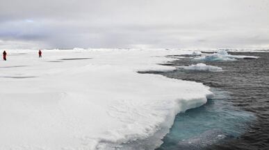 cheats/2011/05/12/wikileaks-nations-race-to-divide-arctic/arctic-melt_nh8rk5