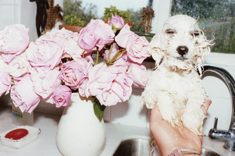 galleries/2013/01/31/juergen-teller-at-the-institute-of-contemporary-arts-in-london/130122-juergen-teller-01_dcrkkx