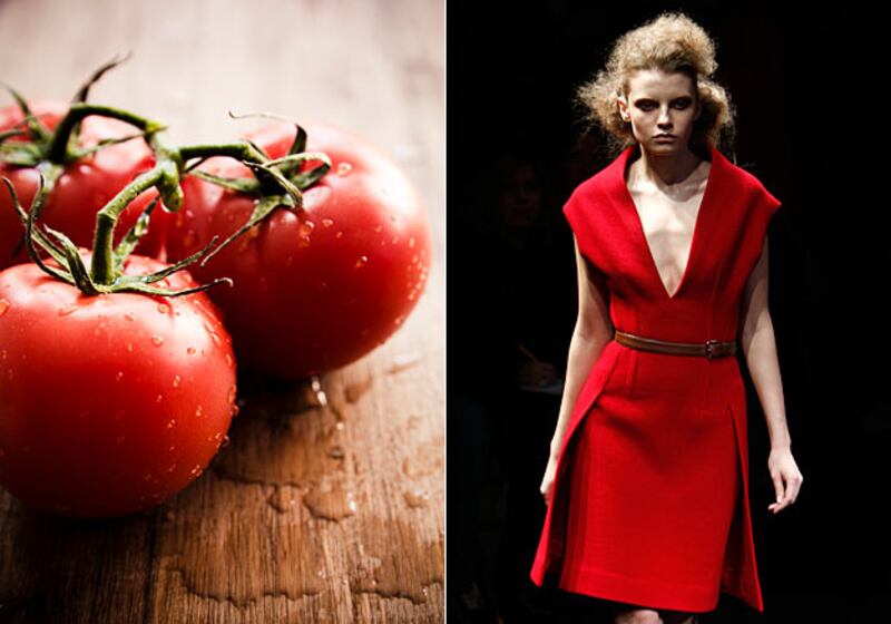 galleries/2009/08/26/harvesting-fall-s-fashions/fashion-fall-food---prada_riboqt