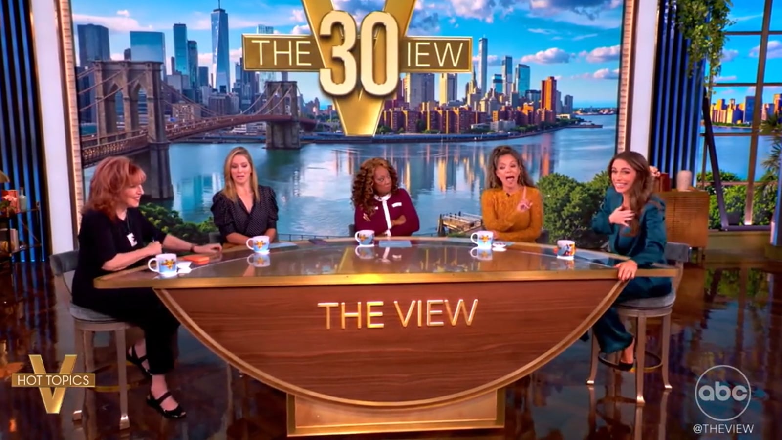 The co-hosts of the view on a panel.