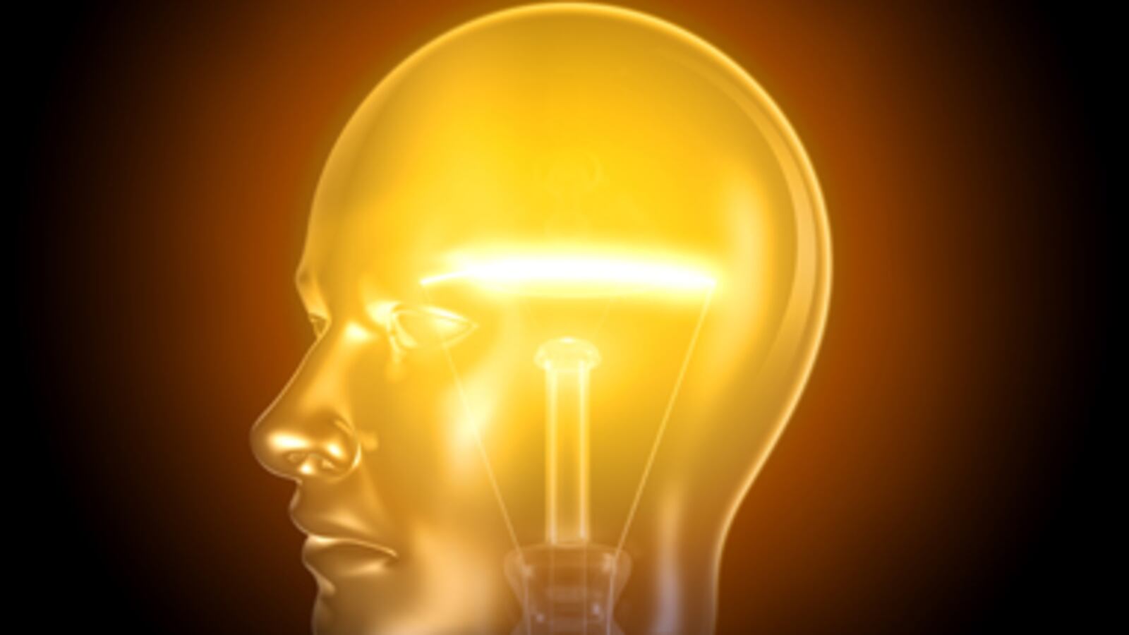 articles/2011/05/13/the-myth-of-innate-genius-david-shenks-new-book-the-genius-in-all-of-us/shenk-genius_180415_o2mr36