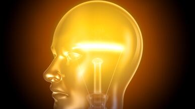 articles/2011/05/13/the-myth-of-innate-genius-david-shenks-new-book-the-genius-in-all-of-us/shenk-genius_180415_o2mr36