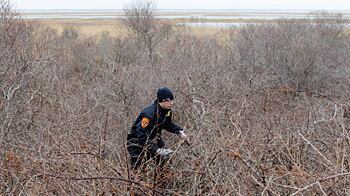 cheats/2011/05/16/two-cops-eyed-in-long-island-murders/long-island-beach_nqjhsk