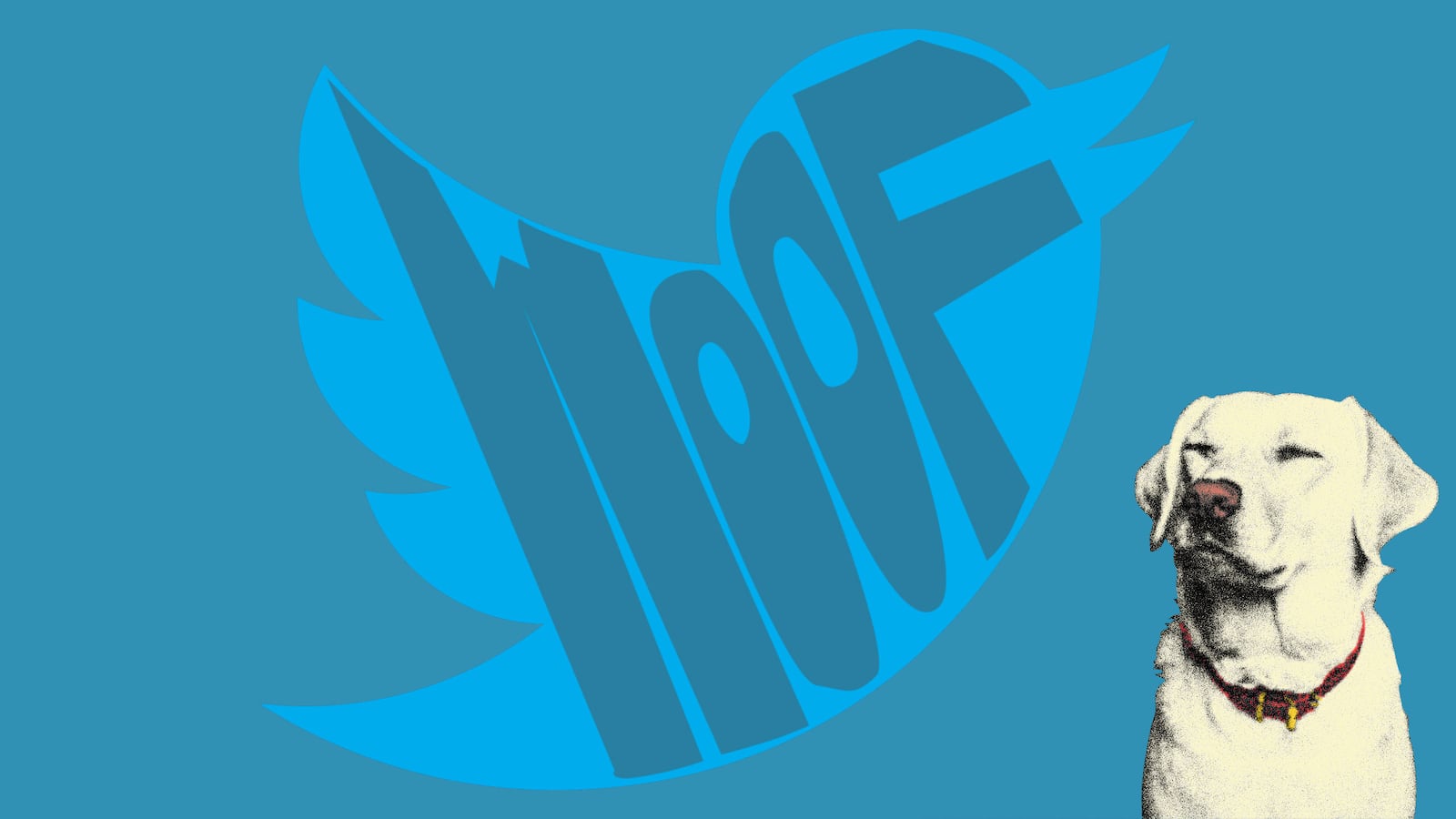 180621-sommer-racism-dog-twitter-hero_lejhqc