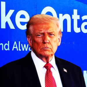 Donald Trump illustration