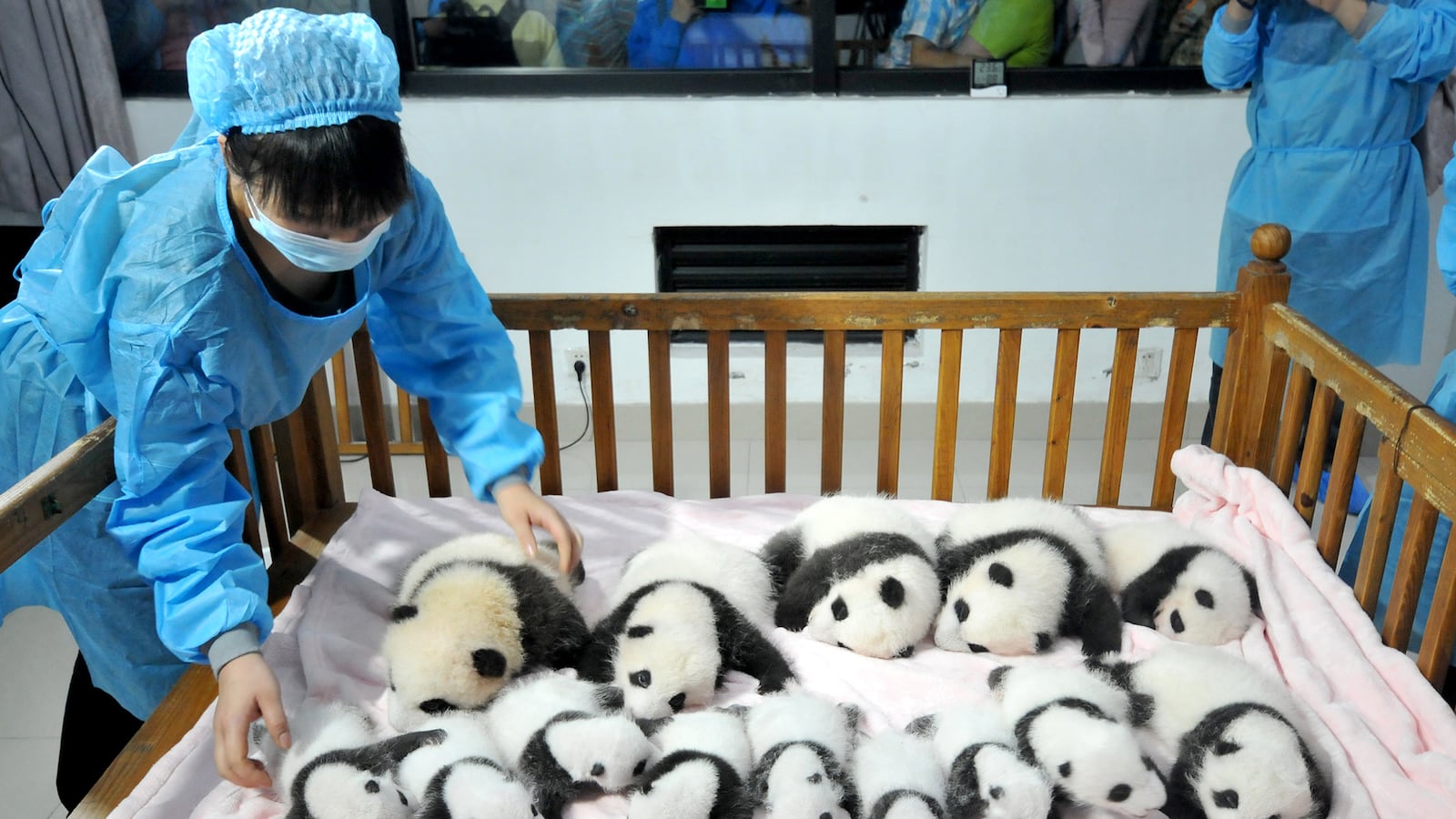 galleries/2013/09/27/week-in-photos-september-27-2013/130926-week-photo-tease_ssfdfs