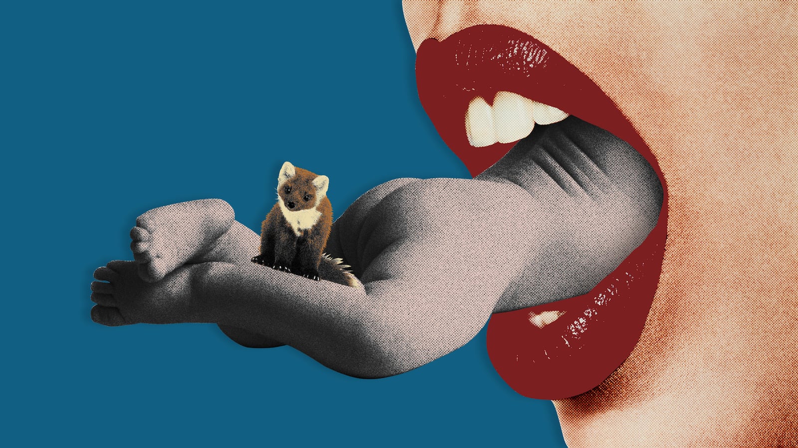 200614-moss-weasel-mouth-birth-hero_wqkavw