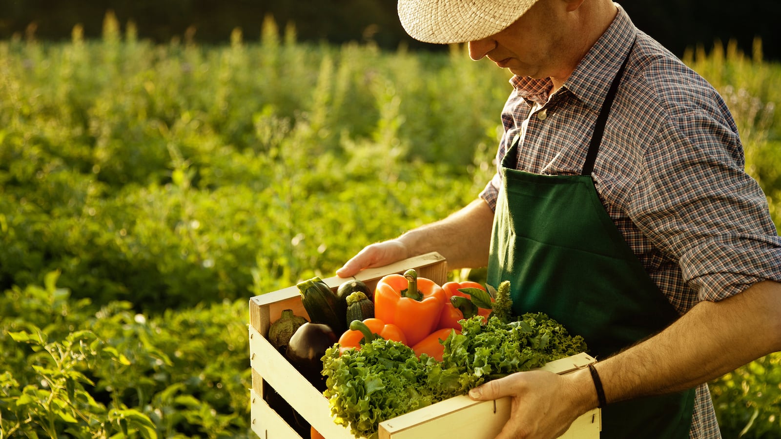 articles/2015/09/21/want-to-marry-to-a-farmer-buy-a-farm/150921-jones-farming-tease_xlphqf