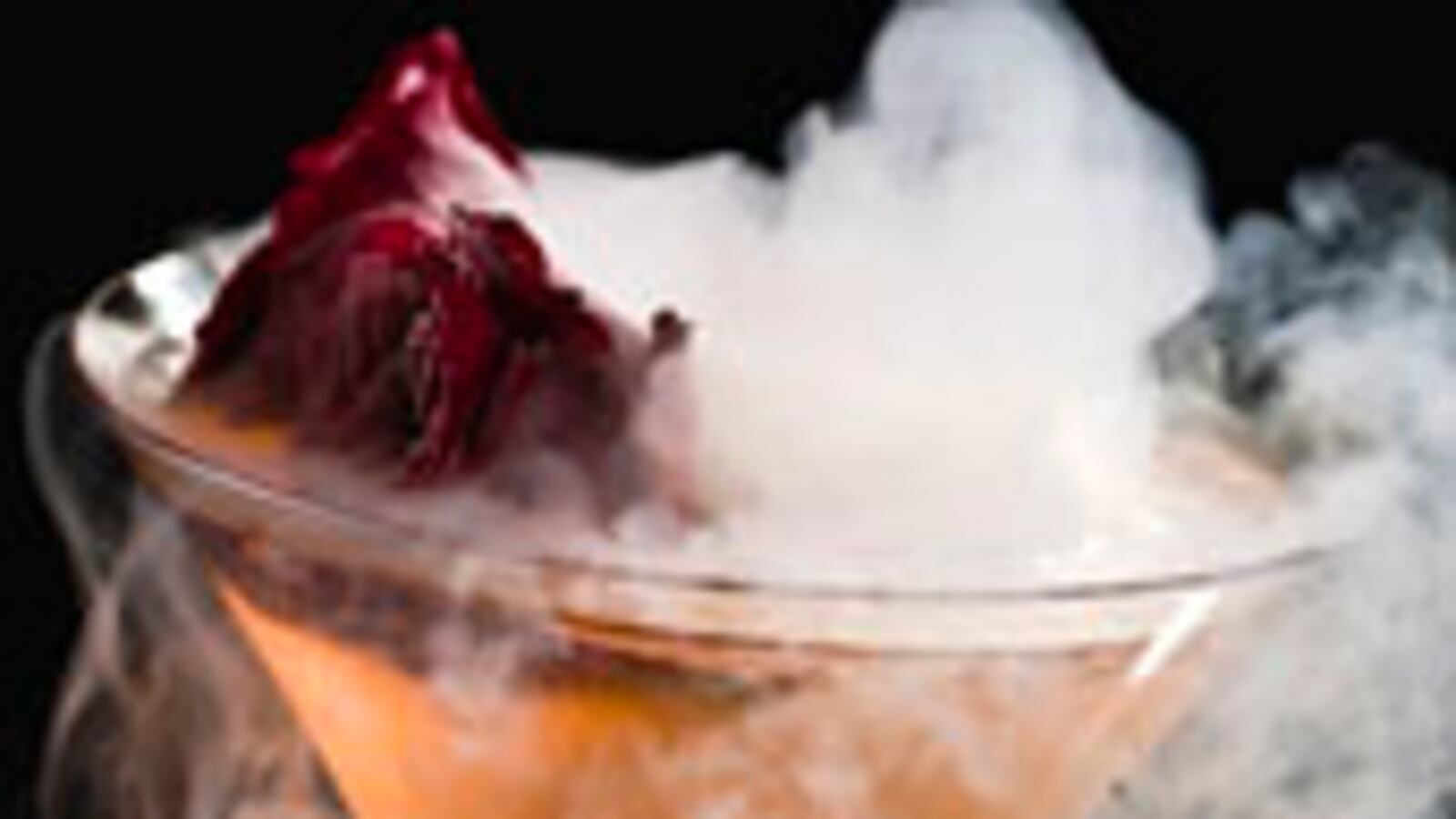 articles/2010/01/01/gal-with-a-suitcase-4/hunt-suitcase-miami_72827_vsl0lt