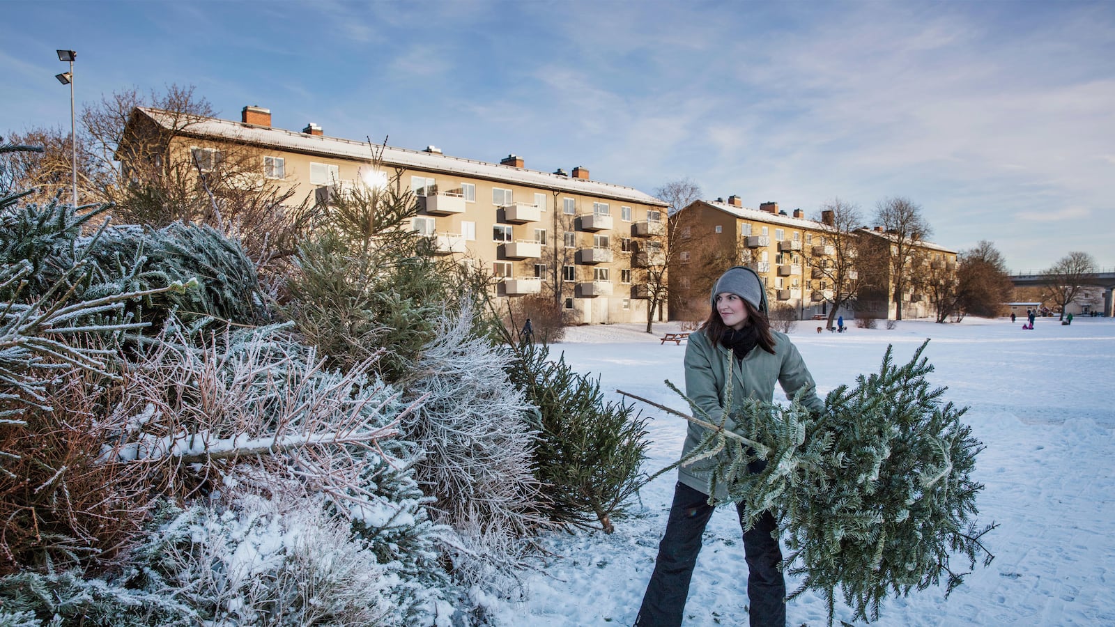 articles/2017/01/03/goodbye-tree-goodbye-lights-goodbye-christmas-until-next-year/170103-Teeman-goodbye-tree-tease_u8vqdu