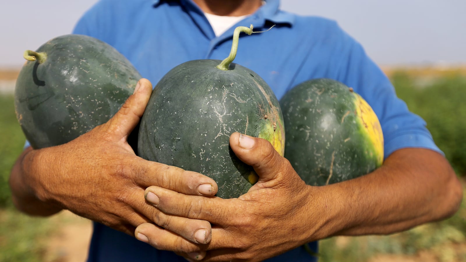 2020-06-17T092707Z_108713242_RC2XAH9LF5BD_RTRMADP_3_HEALTH-CORONAVIRUS-PALESTINIANS-WATERMELON_yoagyj