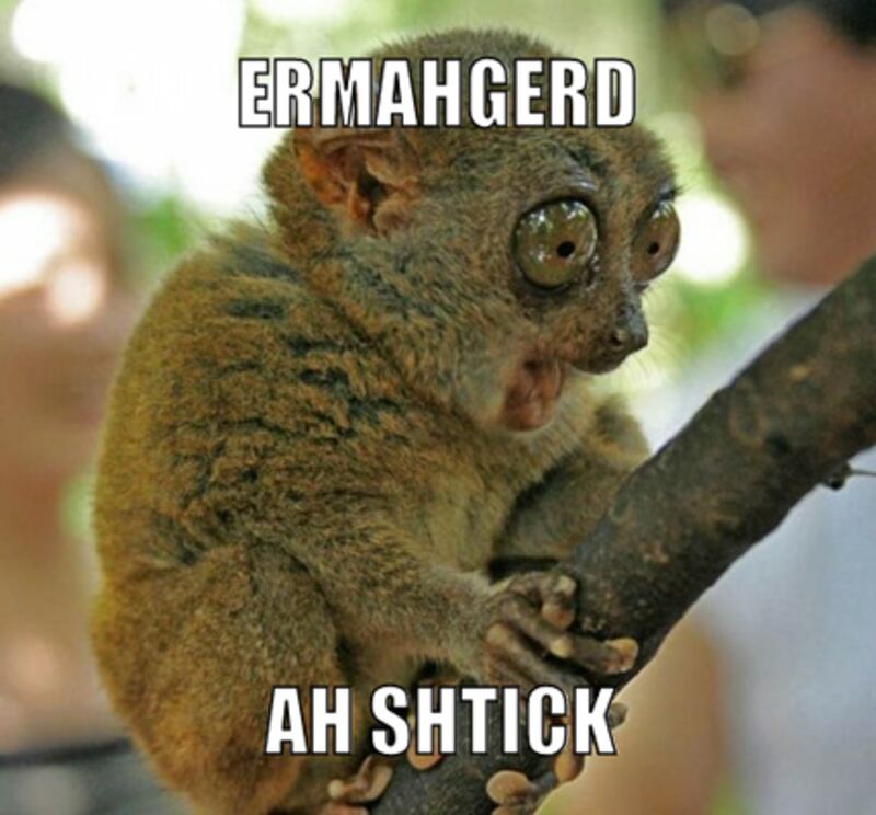 galleries/2012/06/23/meme-of-the-week-ermahgerd-animals/meme-of-the-week-ermahgerd-animals-3_cd2xjl