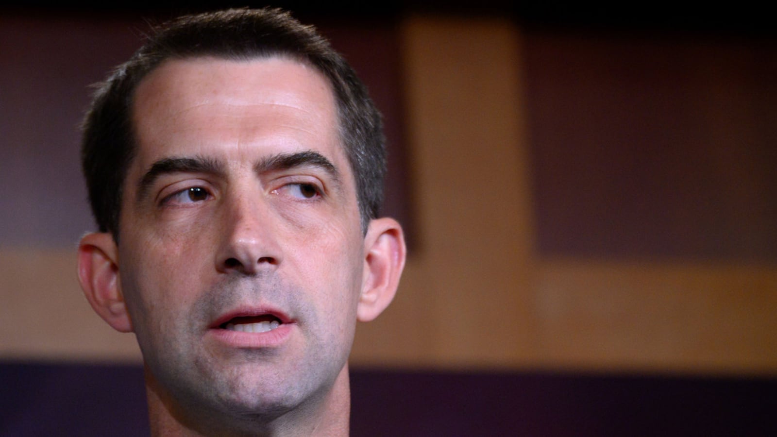 200730-markay-tom-cotton-hero_zor4rb