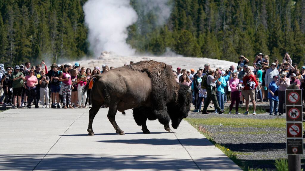 GettyImages-1241460125_zj8dof