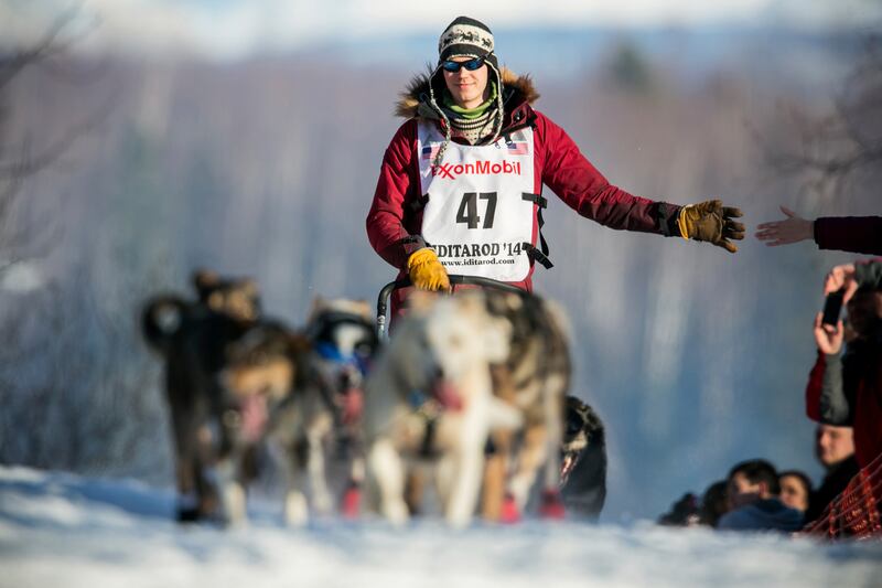 galleries/2014/03/06/gather-the-dogs-it-s-time-to-mush-iditarod-in-full-swing-photos/140306-iditarod-race2_g7ujhl