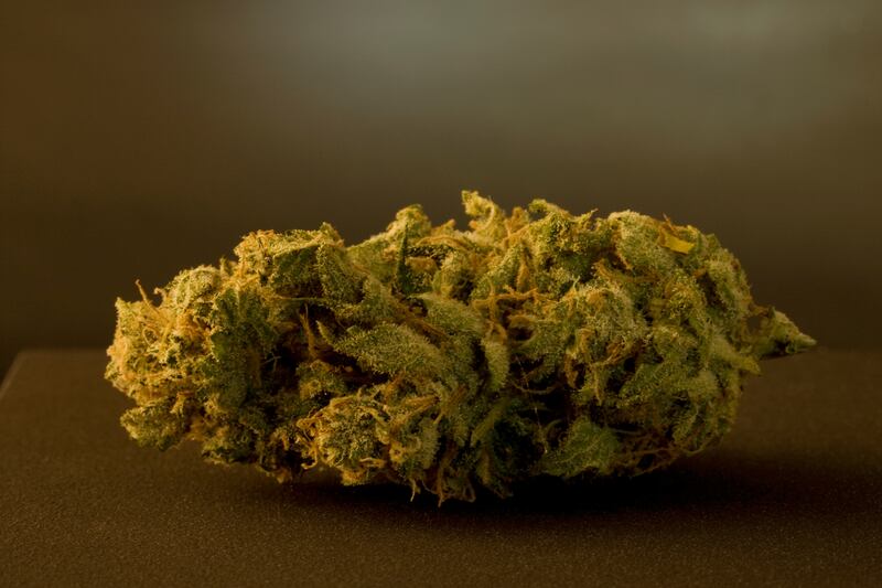 articles/2013/11/30/prescribing-pot-for-pet-pain/131126-gross-marijuana-tease_yjdrst