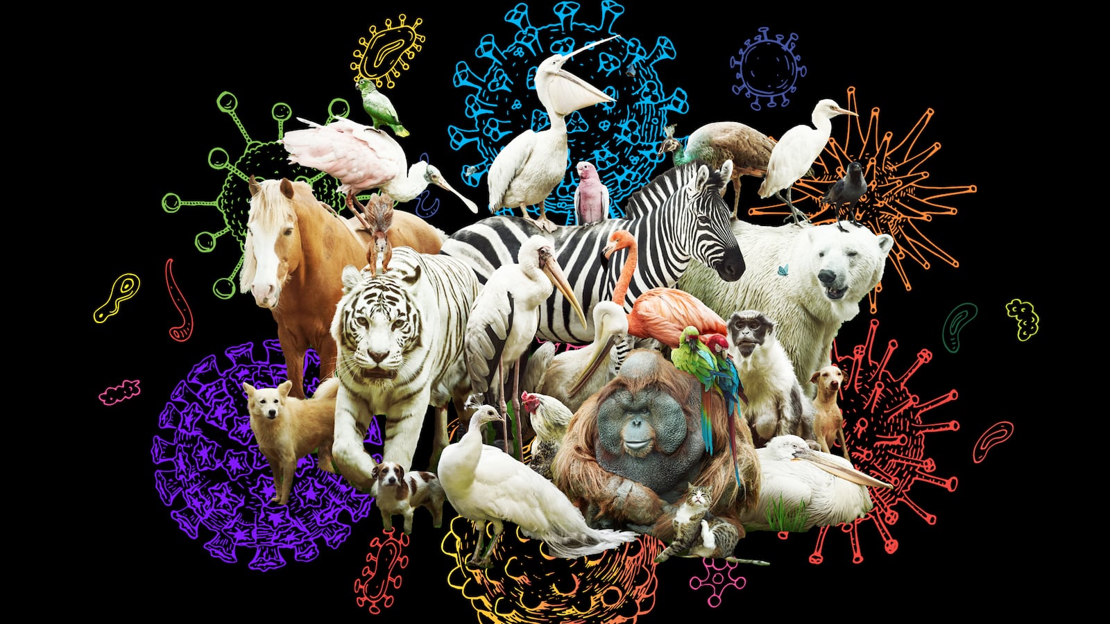 220427-animal-viruses-tease-01_sse8dr