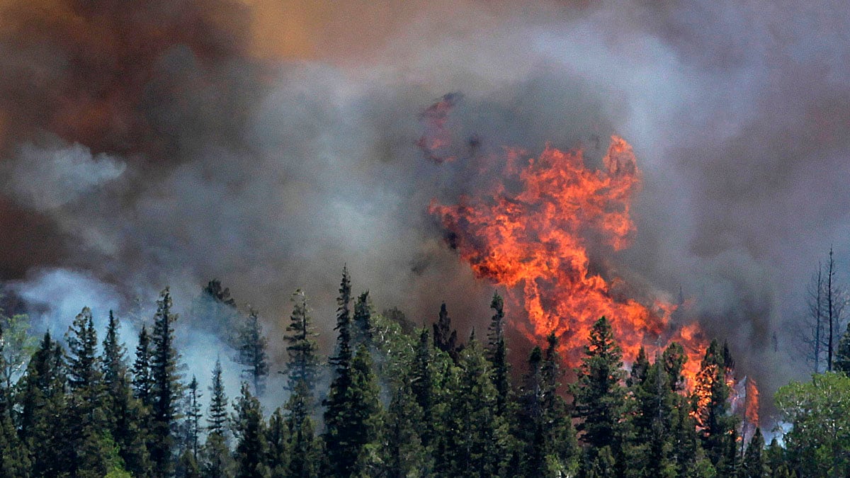 cheats/2011/06/16/officials-question-two-in-az-wildfire/arizona-wildfires-origins-cheat_hk7ivd