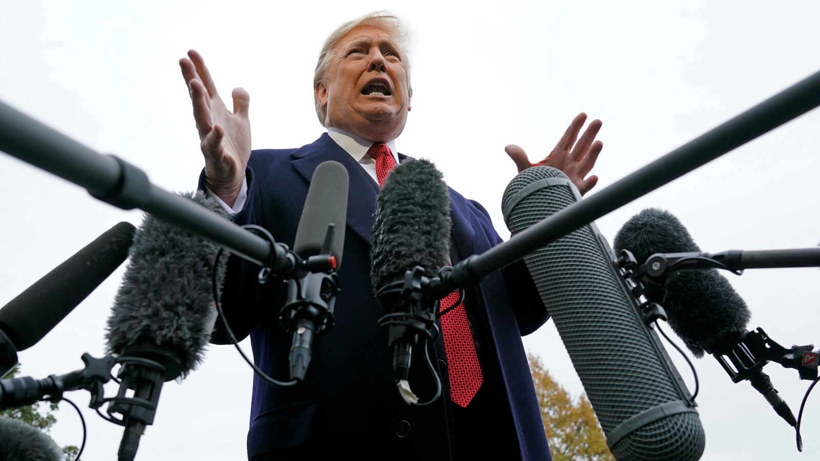 181109-albert-presser-tease_m8vmgn