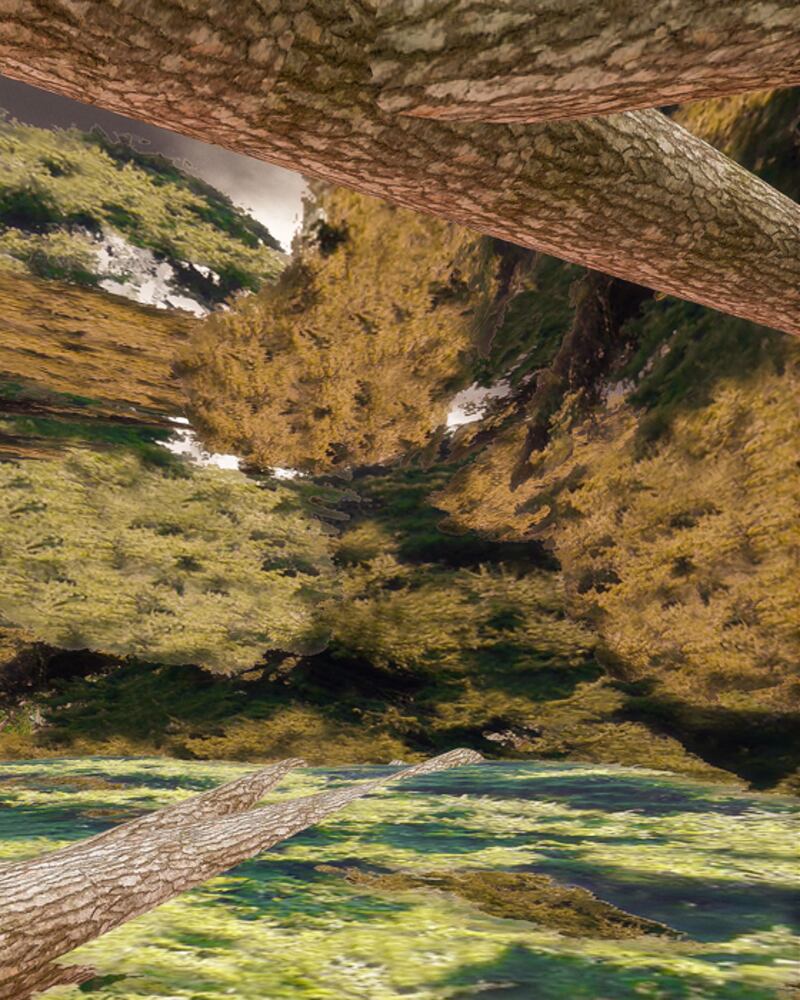 galleries/2012/07/20/new-exhibition-art-in-the-age-of-truthiness-at-site-santa-fe-photos/gal-gopnik-real-lederer_qim4d8