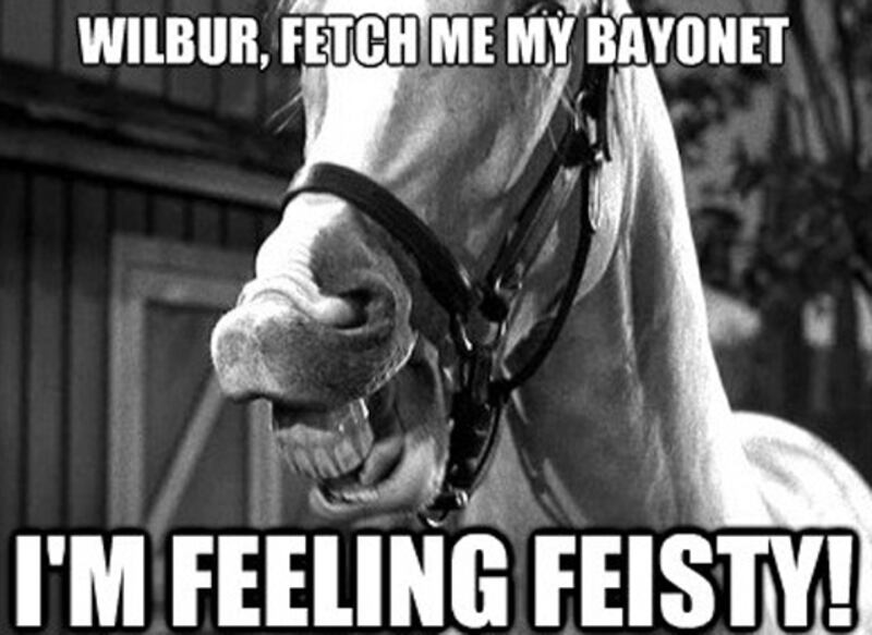 galleries/2012/10/23/horses-and-bayonets-best-images-for-the-debate-s-key-meme-photos/romney-bayonet-memes-7_ofibmt