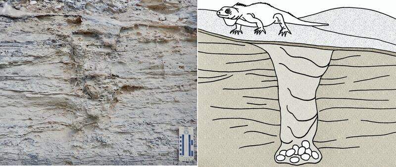 file-20201204-17-1xk8x7t_kyf29j