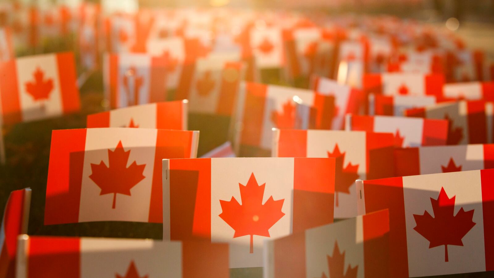 GettyImages-1229569975_ux0dsr