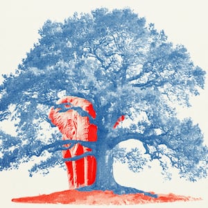 A red elephant hiding behind a blue tree